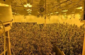 Kreispolizeibeh&ouml;rde Borken: POL-BOR: Gronau - Illegal Marihuana angebaut