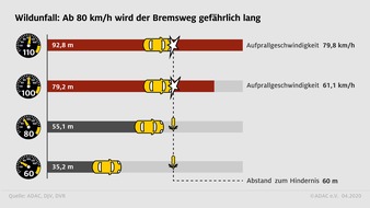 ADAC: Wildunfallgefahr steigt nach der Zeitumstellung / ADAC: Berufsverkehr und Nahrungssuche von Wildtieren fallen jetzt in die Dämmerung