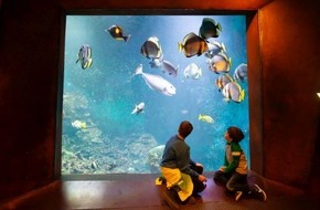 Klimahaus Bremerhaven gGmbH: Pressemeldung: Entdeckungsreise zur biologischen Vielfalt im n&auml;chtlichen Regenwald