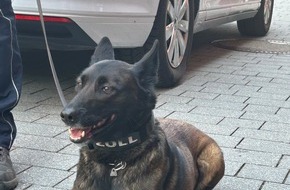 Hauptzollamt Rosenheim: HZA-RO: ZOLL auf dem Bad Reichenhaller Stadtfest mit &ouml;ffentlicher Versteigerung / Original mexikanischer Tequila, Armbanduhren und Laptops unter dem Hammer