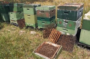 Polizeiinspektion Neubrandenburg: POL-NB: 1650EUR Schaden nach Sachbeschädigung an Bienenkästen nahe Bollewick
