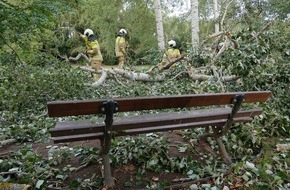 Feuerwehr Dresden: FW Dresden: Umgest&uuml;rzter Baum im Bl&uuml;herpark verletzt Passanten
