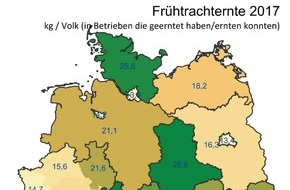 Deutscher Imkerbund e.V.: Deutscher Imkerbund erwartet zufriedenstellendes Honigerntejahr