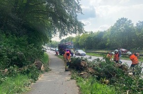 Feuerwehr Hattingen: FW-EN: Umstürzender Baum verfehlt fahrenden PKW nur knapp & Rauchentwicklung im Linienbus