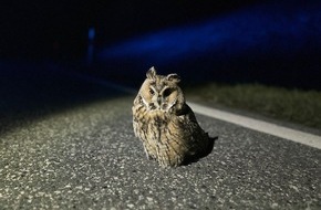 Polizeiinspektion Alzey: POL-PIAZ: Die Polizei, dein Freund und tierischer Helfer