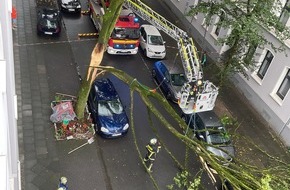 Feuerwehr Dortmund: FW-DO: Abgeknickter Baum zerstört drei PKW und einen Motorroller