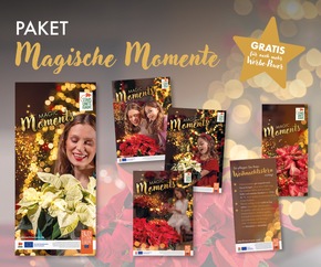 Mehr Erfolg im Weihnachtsgeschäft: Nur noch bis zum 18. September - Weihnachtsstern-Werbemittel sichern