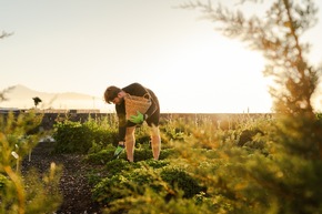 Bancal Hotel &amp; Spa – grüne Auszeit auf La Gomera