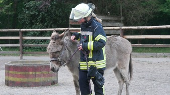 FW Celle: Celler Feuerwehr übt Tierrettung