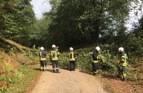 Feuerwehr Sprockhövel: FW-EN: Baum versperrte Radweg