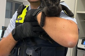 Polizeipr&auml;sidium Offenburg: POL-OG: Lahr - Katze gerettet