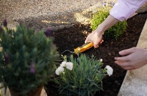 STIGA GmbH: STIGA I Jeder Vierte ist dabei: Wie Urban Gardening deutsche St&auml;dte erobert