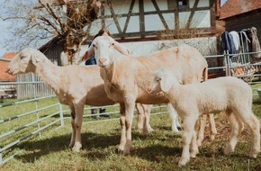 Allgäu GmbH: Ostern im Allgäu: Ferientipps für die ganze Familie.