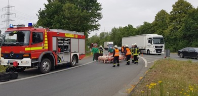 FW-WRN: TH_2 - Umgestürzter Schweinetransporter, keine Person eingeklemmt