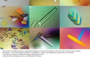 Schweizerischer Nationalfonds / Fonds national suisse: SNF: Bild des Monats Februar 2009:  Grundlagenwissen für die Entwicklung neuer Medikamente
