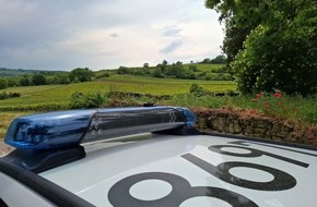 Polizeidirektion Neustadt/Weinstraße: POL-PDNW: Unfall bei Starkregen