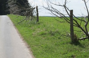 Polizeidirektion Göttingen: POL-GOE: (248/2012) Baumfrevler sägen drei Apfelbäume am Wegesrand ab