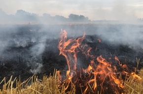 Feuerwehr Frankfurt am Main: FW-F: Abflämmen von Unkraut verursacht Feuer