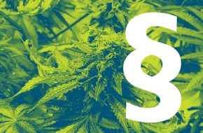 Sucht Schweiz / Addiction Suisse / Dipendenze Svizzera: Quel est l'impact de la légalisation du cannabis ? / Il est encore trop tôt pour le savoir