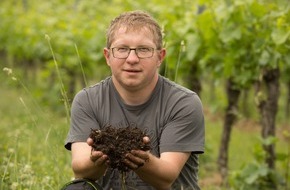 WEINRIEDER: Der Klimawandel machts möglich: MÄRZLESE statt Eiswein