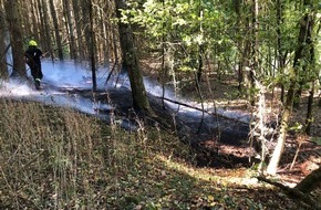 Polizeidirektion Landau: POL-PDLD: Wald brennt