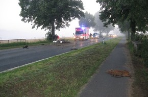 Polizeiinspektion Hildesheim: POL-HI: Brüggen - Kradfahrer stirbt nach Zusammenstoß mit Rehwild