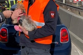 Feuerwehr und Rettungsdienst Bonn: FW-BN: Verkehrsunfall auf der BAB565, zwei verletzte Personen