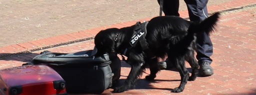 Hauptzollamt Bremen: HZA-HB: Zollhund "Bandit" hatte den richtige Riecher / Über ein Kilo Marihuana bei einem Zugreisenden sichergestellt