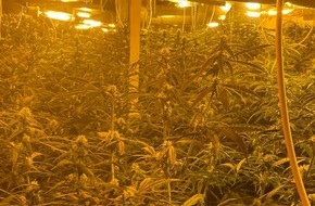 Polizei Mönchengladbach: POL-MG: Nach Zeugenhinweis: Kriminalpolizei entdeckt Cannabis-Plantage