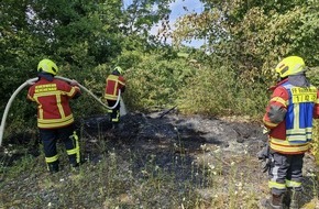 Freiwillige Feuerwehr Reichenau: FW Reichenau: Grünschnitt in Brand geraten, Reichenau-Oberzell, 21.06.2025