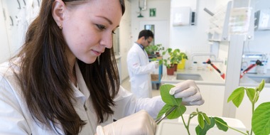 Universität Hohenheim: Neuer Master Agrarbiologie: Globale Herausforderungen interdisziplinär anpacken