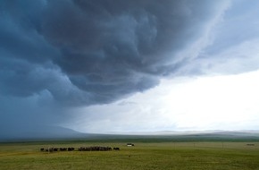 Helmholtz-Zentrum Hereon: Pressemitteilung: Ist das nur Sturm oder schon Klimawandel?