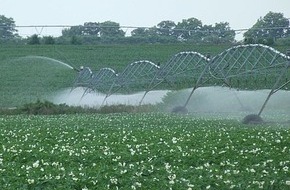 VDI Verein Deutscher Ingenieure e.V.: Dürresommer: Ist Landwirtschaft ohne Bewässerung noch möglich?