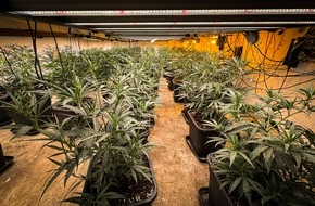 Kreispolizeibehörde Unna: POL-UN: Kamen / Bergkamen - Polizeiaktion in Kamen und Bergkamen: Fünf Festnahmen, Waffen und Cannabisplantage sichergestellt!