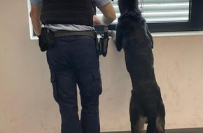 Bundespolizeidirektion Sankt Augustin: BPOL NRW: "Mein Hund fährt gerne Zug" - Zugfahrender Hund durch Bundespolizei an Halterin vermittelt
