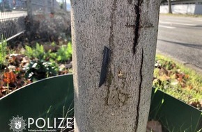 Polizeipräsidium Westpfalz: POL-PPWP: Unfallflucht: Gegen Baum gefahren