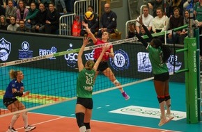 VC Wiesbaden Spielbetriebs GmbH: Gelingt in Münster der Halbfinaleinzug?