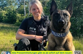 Polizei Duisburg: POL-DU: Marxloh: Auf frischer Tat ertappt - Polizeihund Yondu stellt mutmaßliche Einbrecher