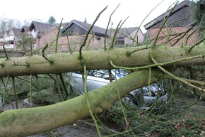 FW-WRN: Sturmlage &quot;Friederike&quot; verlief glimpflich