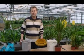Vergiftete Luft - Ein innovatives Bio-Filtersystem als Lösung Vergiftete Luft - Ein innovatives Bio-Filtersystem als Lösung