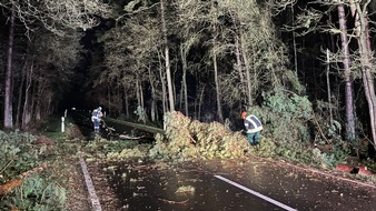 Freiwillige Feuerwehr Celle: FW Celle: Stürmisches Wetter beschäftigt weiter die Celler Feuerwehr!