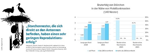 diagnose:funk: Studie: Storchen-Nachwuchs klapp(er)t nicht in der Nähe von Mobilfunkmasten