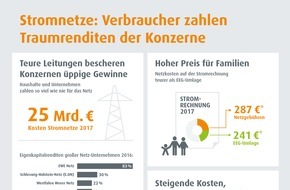 LichtBlick SE: Netzentgelte-Urteil: Stromkunden sind Verlierer / Infografik: Stromleitungen kosten 25 Milliarden Euro im Jahr