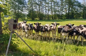 Polizei Bielefeld: POL-BI: Tierisch neugierige Augenzeugen