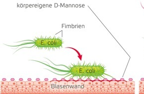 MCM Klosterfrau Vertriebsgesellschaft mbH: Europäischer Antibiotikatag am 18. November / Antibiotika sind keine Hustenbonbons (FOTO)