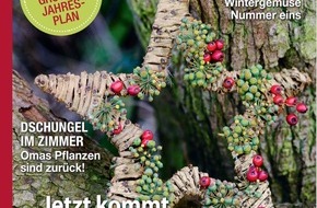 dlv Deutscher Landwirtschaftsverlag GmbH: Was beim Christbaumkauf zu beachten ist