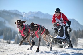 4.000 Besucher bei Schlittenhunde-Weltcup in Unterjoch - Spektakel im Allgäu sorgt für Begeisterung bei Mensch und Tier