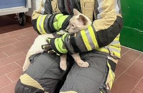 Freiwillige Feuerwehr Hünxe: FW Hünxe: Feuerwehr rettet eingeklemmte Katze aus Schleusenkammer