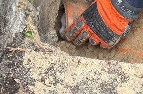 Feuerwehr Detmold: FW-DT: Katze auf Abwegen