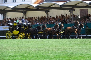 Sommerfest im Landgestüt Celle